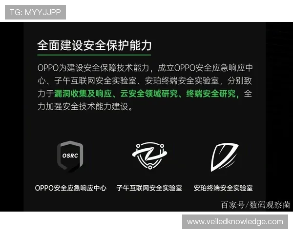 欧博会员登陆官网安全保障措施,保障您的账户信息安全与隐私保护 欧博会员登陆官网安全保障措施,保障您的账户信息安全与隐私保护