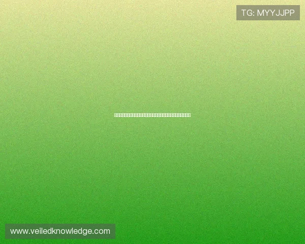 世界杯葡萄牙与乌兹别克斯坦赛前关键数据汇总及比赛走势预测分析