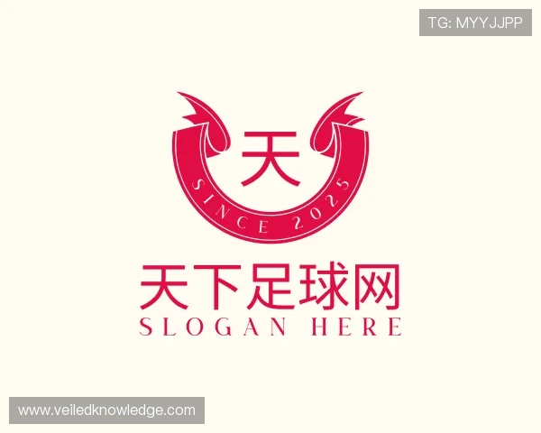 解读天下足球网