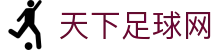 天下足球网|天下足球体育 - (中国)楚雄天下足球网控股股份有限公司欢迎您
